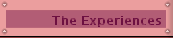 The Experiences