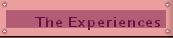 The Experiences